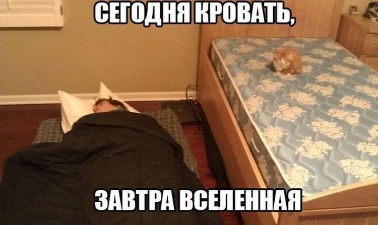 кот спит на кровати рядом хозяин на полу. Надпись сегодня кровать завтра вселенная