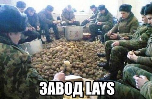солдаты чистят картошку